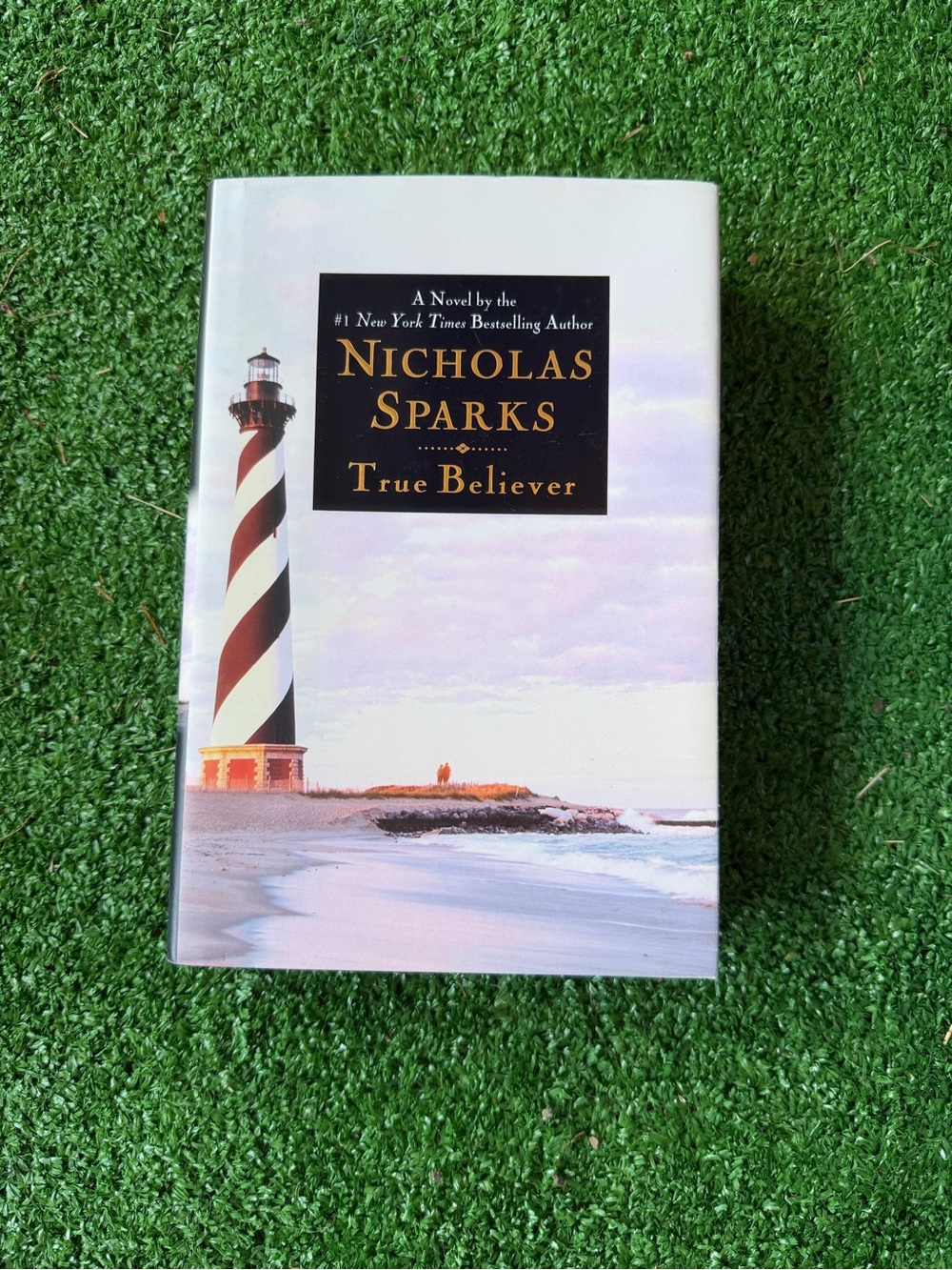 3 for $10 Nicholas Sparks - True Believer